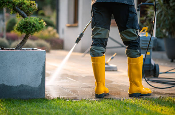 Best Residential Pressure Washing Services  in Pacific, WA